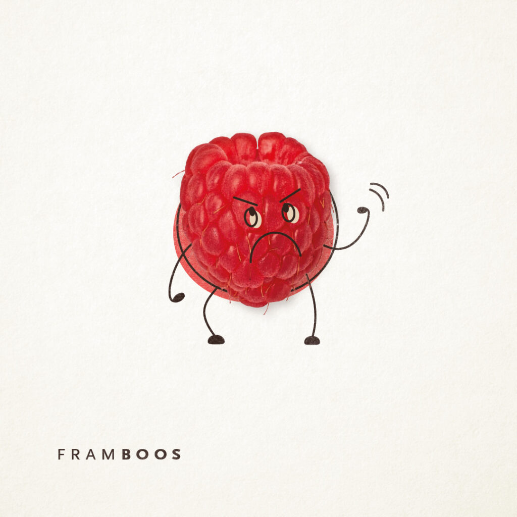 Framboos