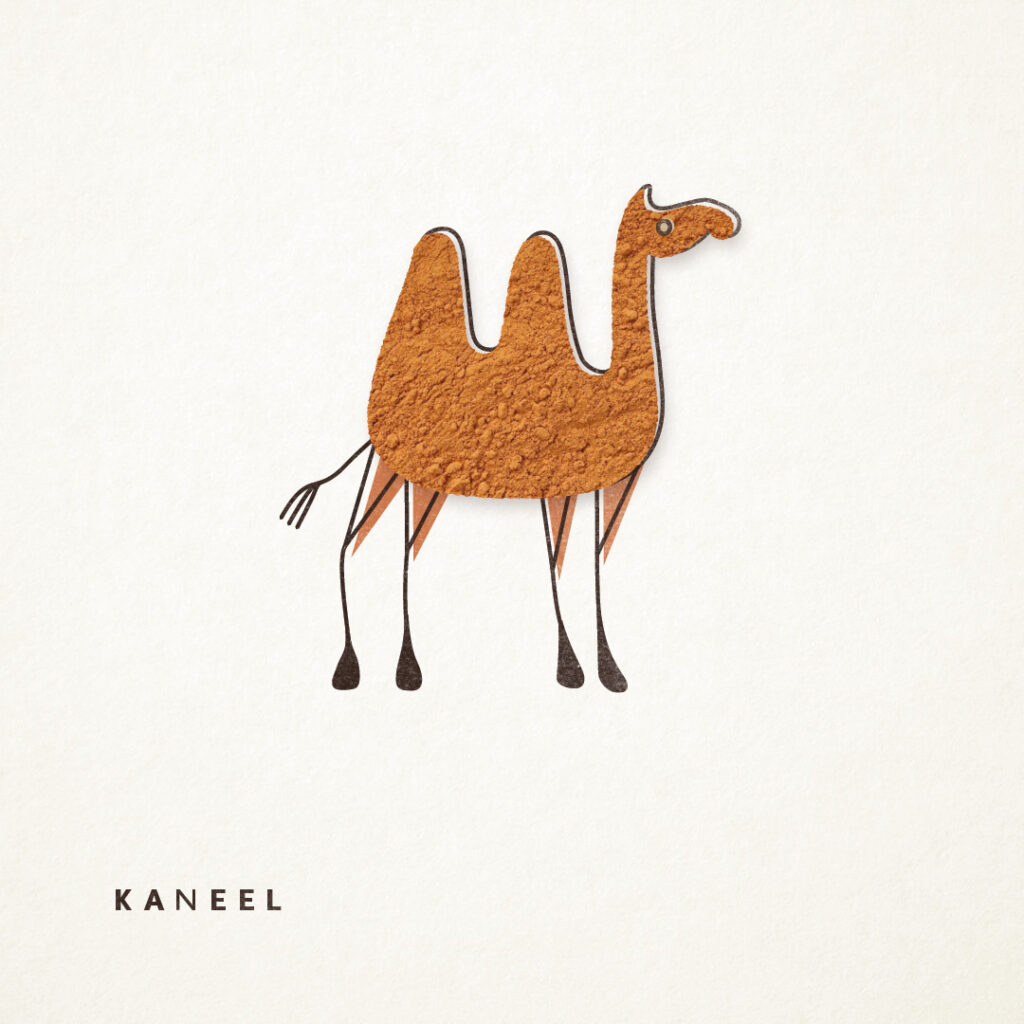 Kaneel