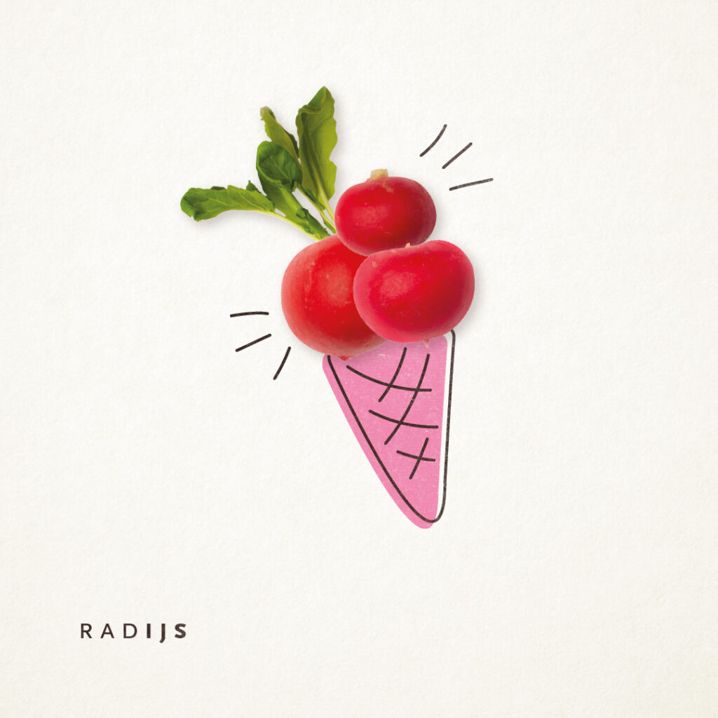 Radijs